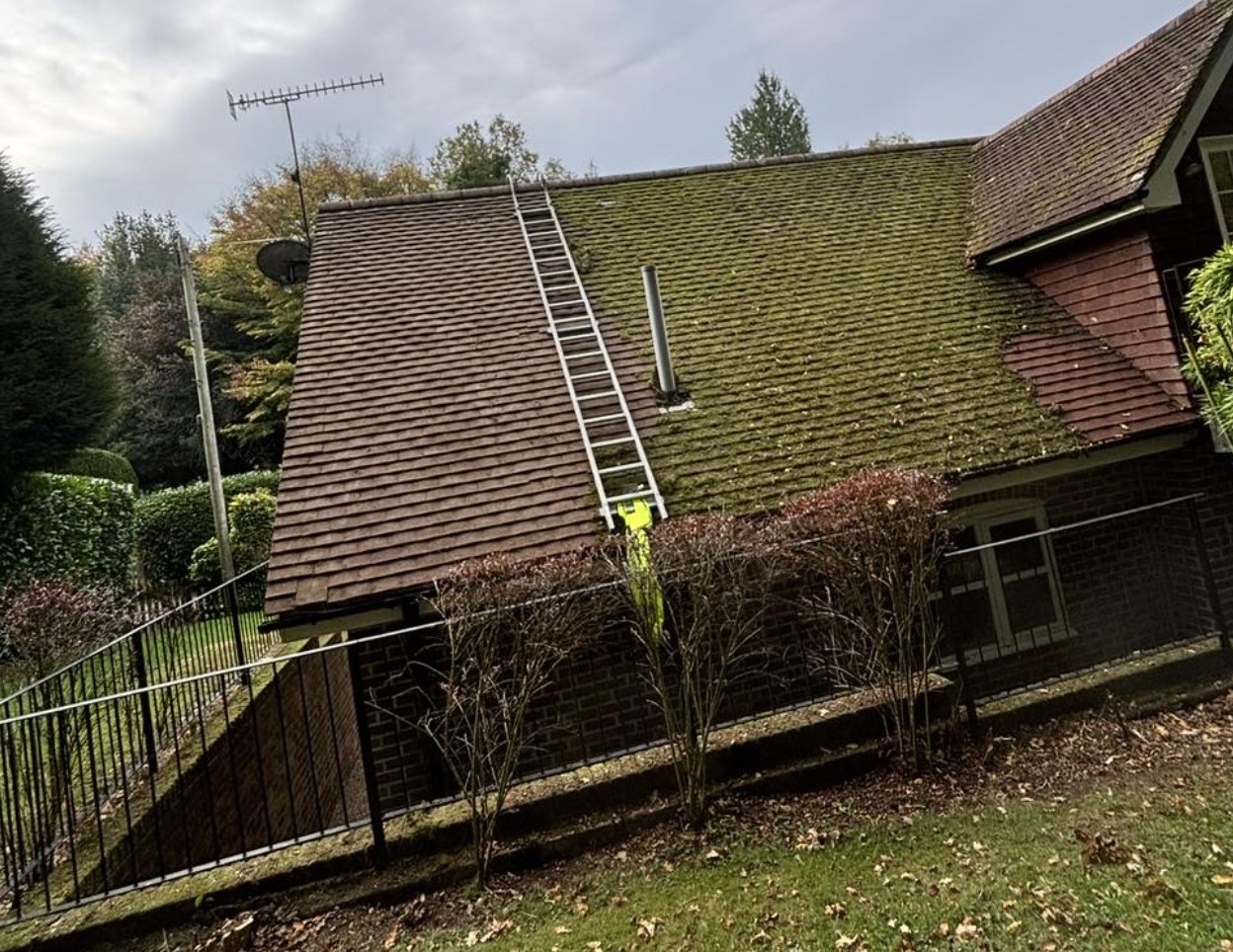 Tiled roof covered in moss before cleaning